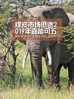 煤炭市场低迷2019年嘉能可五年来利润首现亏损:开元体育(图1) 开云体育官网