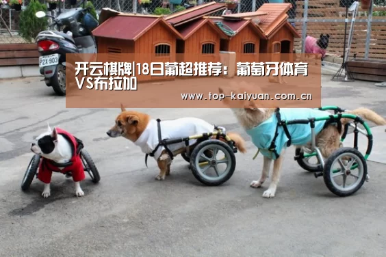 开元体育