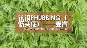 认识PHUBBING(低头症)——麦肯为MACQUARIE大辞典记载‘新词诞生记’‘开元体育’(图4) 开云体育网站