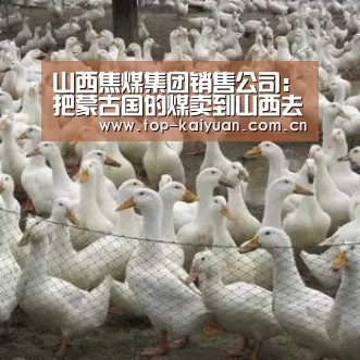 山西焦煤集团销售公司:把蒙古国的煤卖到山西去-开云体育官网(图2) 开云体育网站