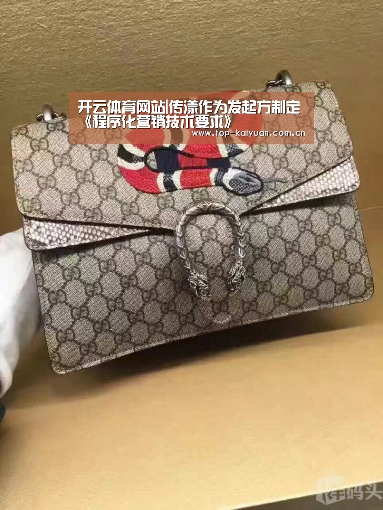 开云体育网站|传漾作为发起方制定《程序化营销技术要求》