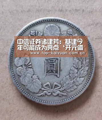 中信证券诸建芳:基建今年可能成为亮点‘开元体育’(图2) 开元体育